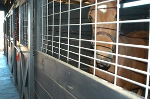 bell_stall1