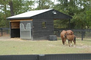 rehab_paddocks3_1007