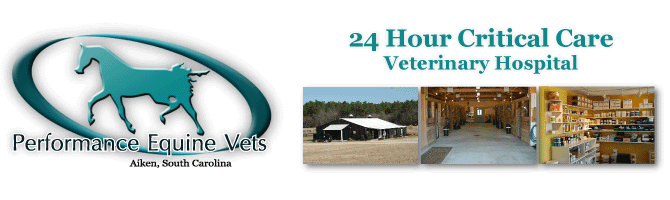 Performance Equine Vets - Aiken's Premier Equine Veterinary Cinic