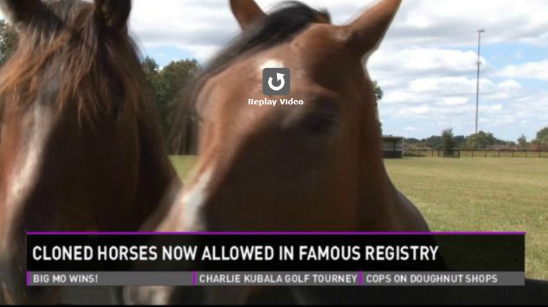 Channel 9 Columbia Interview on Cloning Horses in Aiken