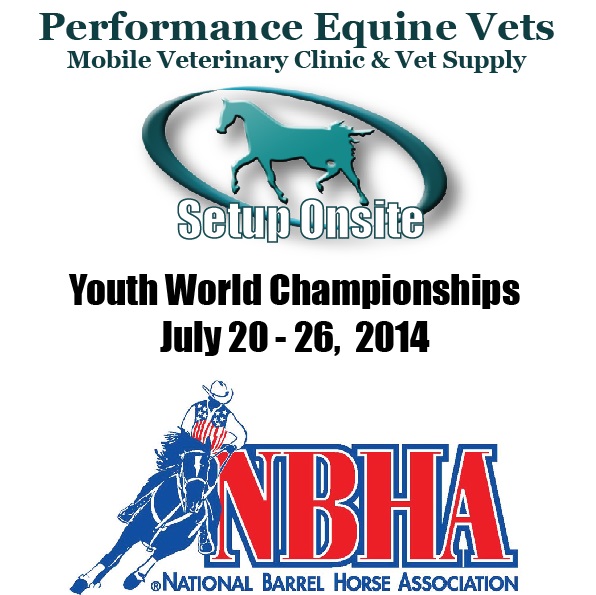 Heading to NBHA Youth World