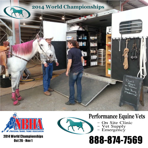 2014 World Championship Show